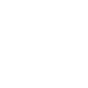 doing-icon-service-function-brief