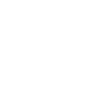 solutions-icon-safety