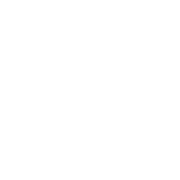 solutions-icon-savingcost