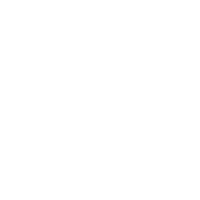 withsindoh-icon-service-smartdashboard